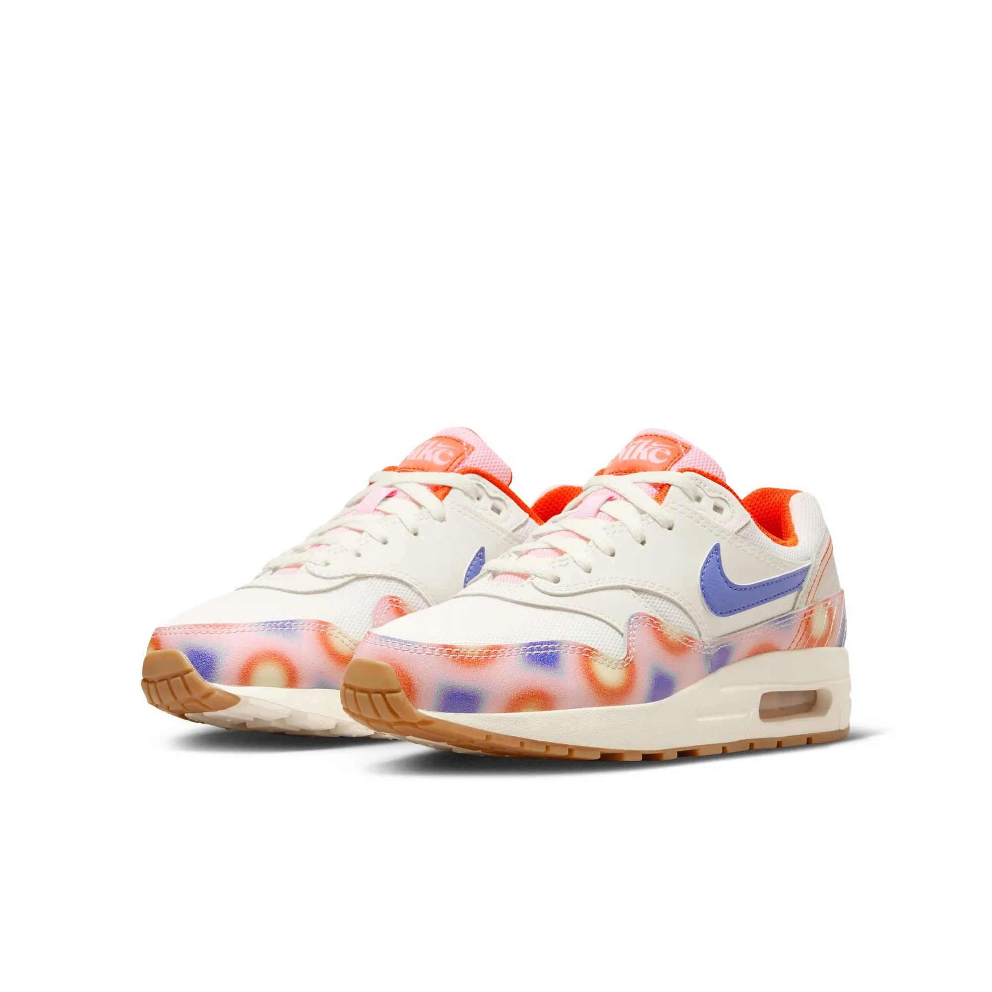 Youth Nike Air Max 1 SE 'Everything You Need'